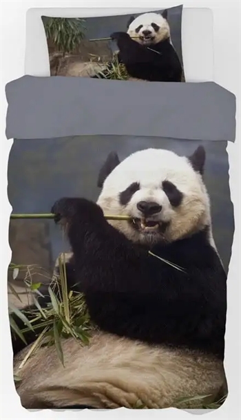 Billede af Panda sengetøj - 140x200 cm - Stor og sød panda bjørn - 100% bomulds sengesæt hos Shopdyner.dk